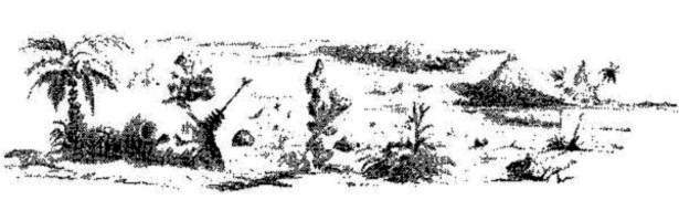 PR 119 Zeichner: Johnny Bruck © Heinrich Bauer Verlag KG, Hamburg