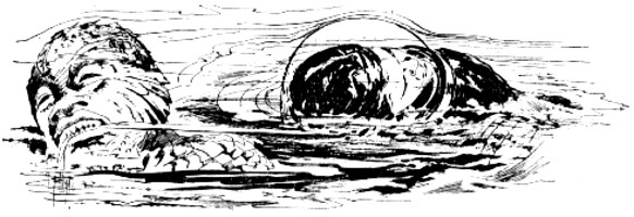 PR 102 Zeichner: Johnny Bruck © Heinrich Bauer Verlag KG, Hamburg