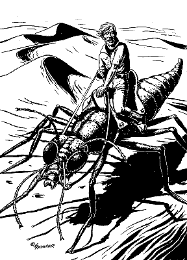 Auf den Dünen - Delanteys PR 2014 Zeichner: Alfred Kelsner © Heinrich Bauer Verlag KG, Hamburg