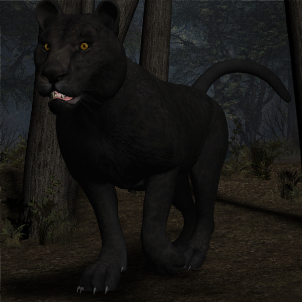 Datei:Chabalh 600 (PR Neo).jpg