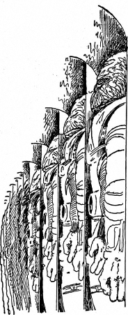 Datei:PR0334Illu 2.jpg