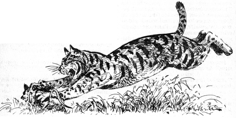 Datei:PR0569Illu 1.gif