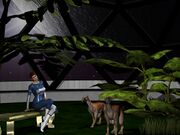 Ke-Matlon 640 (PR Neo).jpg