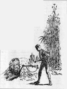 PR 241 – Illustration 2 Zeichner: Johnny Bruck © Heinrich Bauer Verlag KG