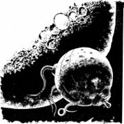 PR 289 – Illustration 1 © Heinrich Bauer Verlag KG