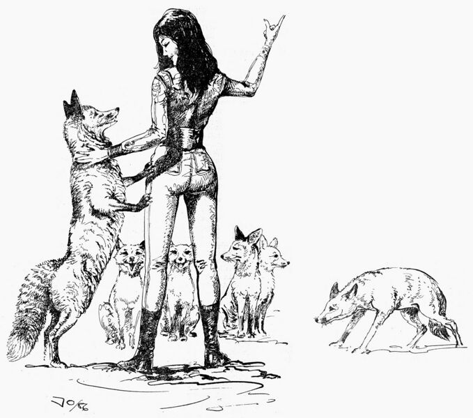 Datei:PR1300Illu 1.jpg