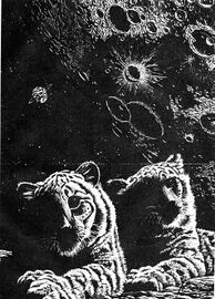 Heft PR 1679: Impressionen Zeichner: Johnny Bruck © Heinrich Bauer Verlag KG, Hamburg