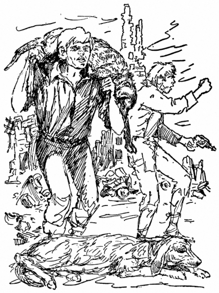 Datei:PR0501Illu 2.gif