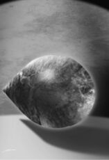 © Heinrich Bauer Verlag KG