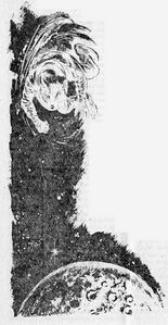 PR 205 – Illustration 3 Zeichner: Johnny Bruck © Heinrich Bauer Verlag KG