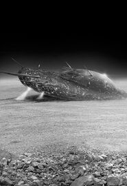 PR 2841 Die ATLANC im Sturmland Zeichner: Swen Papenbrock © Heinrich Bauer Verlag KG, Hamburg