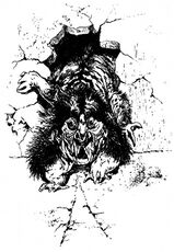 © Heinrich Bauer Verlag KG