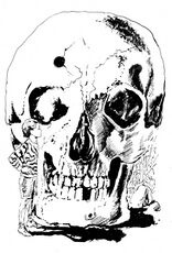 © Heinrich Bauer Verlag KG