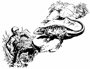 PR 463 Zeichner: Johnny Bruck © Heinrich Bauer Verlag KG, Hamburg