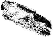 PR 130 – Illustration 5 Zeichner: Johnny Bruck © Heinrich Bauer Verlag KG