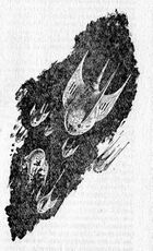 PR 238 – Illustration 1 © Heinrich Bauer Verlag KG