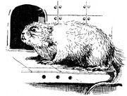 © Heinrich Bauer Verlag KG