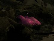 Pr adventure tilt.jpg