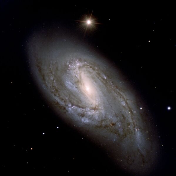 Datei:NGC3627.jpg