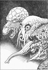 PR 239 IV – Illustration 1 © Heinrich Bauer Verlag KG