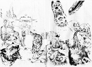 Heft PR 1672: Impressionen Zeichner: Johnny Bruck © Heinrich Bauer Verlag KG, Hamburg