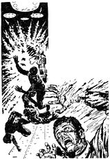 Motiv auf der Vorspannseite © Heinrich Bauer Verlag KG