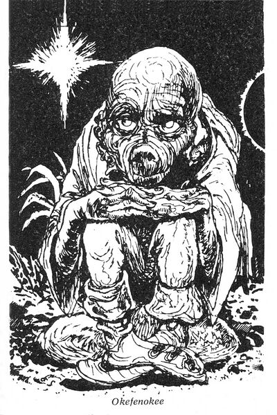 Datei:PR Lexikon1 Illu Okefenokee.jpg