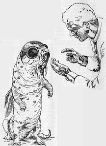 PR 65 – Illustration 2 Zeichner: Johnny Bruck © Heinrich Bauer Verlag KG