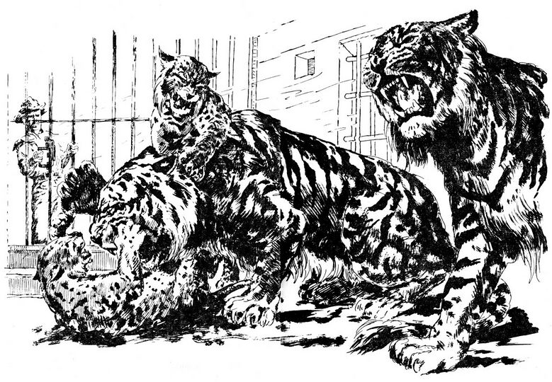 Impressionen Atlan 117 Zeichner: Johnny Bruck © Heinrich Bauer Verlag KG, Hamburg