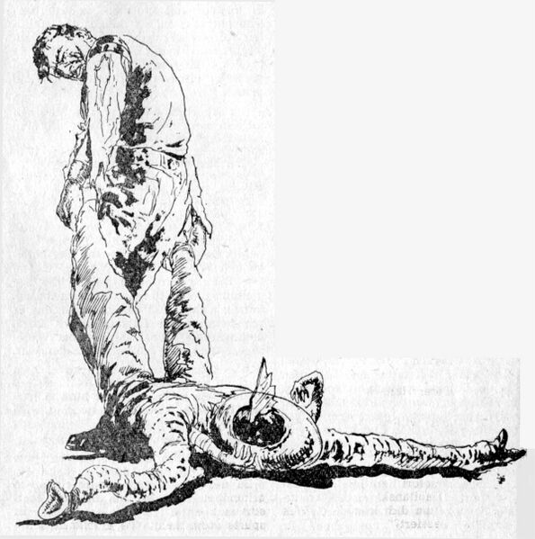 Datei:PR0235Illu 5.jpg