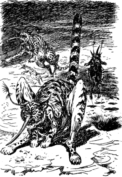 Datei:PR0551Illu 3.gif