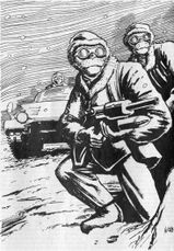 Erstkontakt – Graukartanin auf Ultrablau © Heinrich Bauer Verlag KG