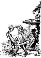 PR 155 – Illustration 4 © Heinrich Bauer Verlag KG