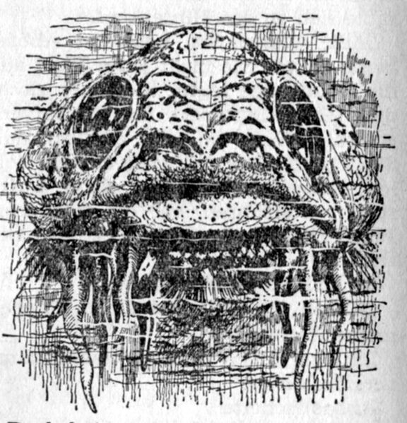 Datei:PR0321Illu 2.jpg