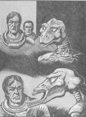 © Heinrich Bauer Verlag KG