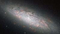 NGC6503.jpg