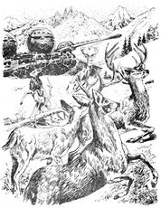 © Heinrich Bauer Verlag KG