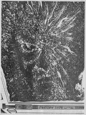 © Heinrich Bauer Verlag KG