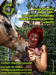 PerryPet Pferd1 Button.jpg