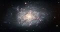 NGC7793.jpg