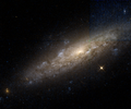 NGC 3666.png