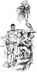 PR 143 – Illustration 5 Zeichner: Johnny Bruck © Heinrich Bauer Verlag KG