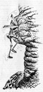 PR 169 – Illustration 4 Zeichner: Johnny Bruck © Heinrich Bauer Verlag KG