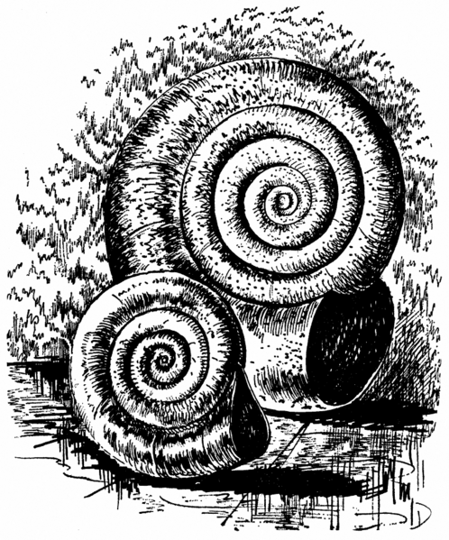 Datei:PR0445Illu 1.gif