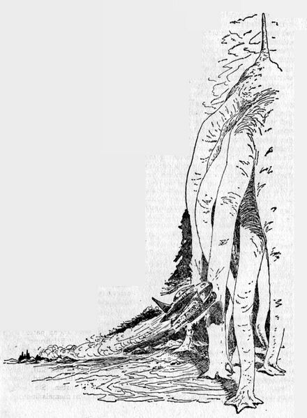 Datei:PR0197Illu 3.jpg