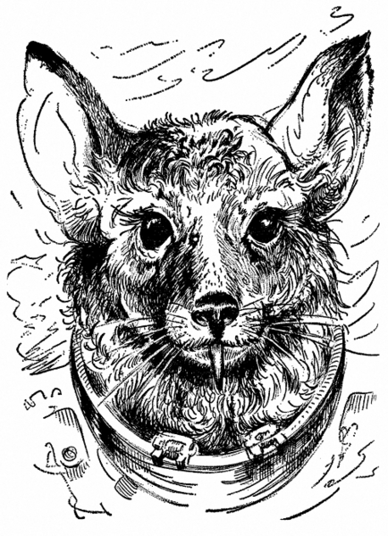 Datei:PR0533Illu 1.gif