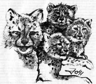 Heft PR 1578: Impressionen Zeichner: Johnny Bruck © Heinrich Bauer Verlag KG, Hamburg