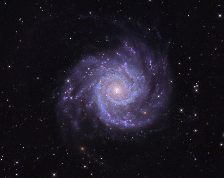 Datei:NGC628.jpg