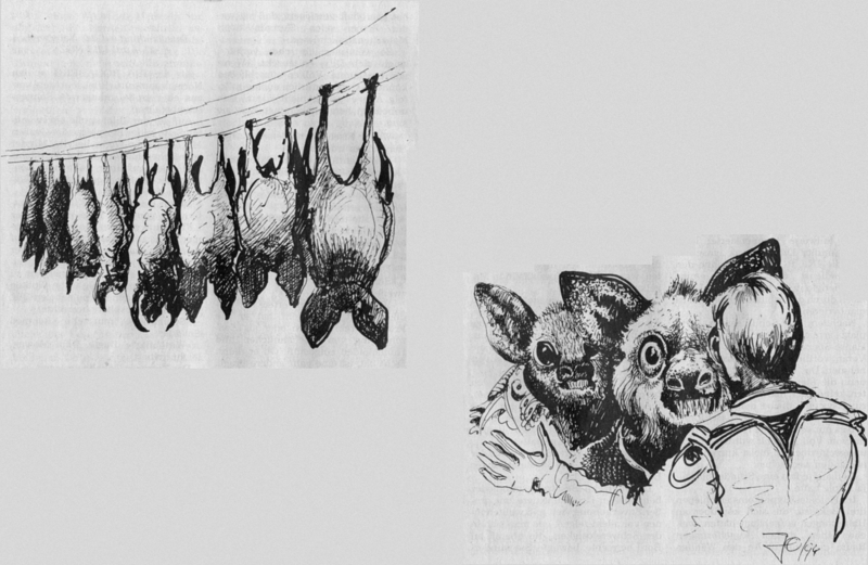 Datei:PR1718Illu 2.gif