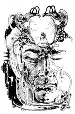 © Heinrich Bauer Verlag KG